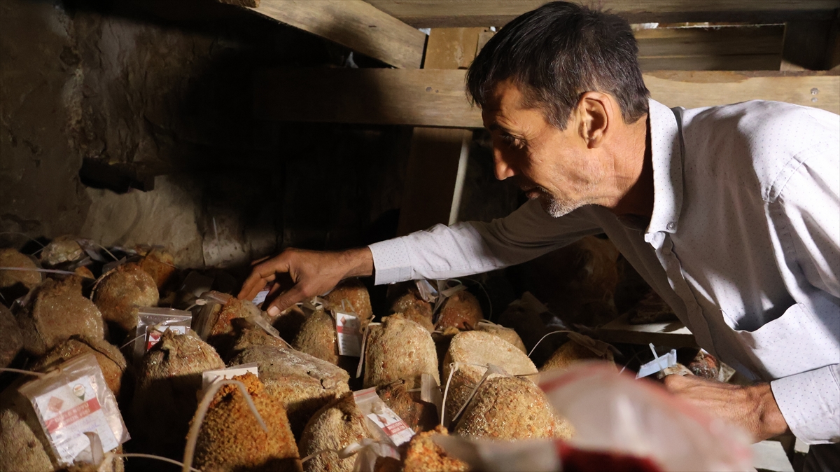 Muhtar Durna: Divle Obruk Peyniri mağaradan çıkıyor, 1500 TL