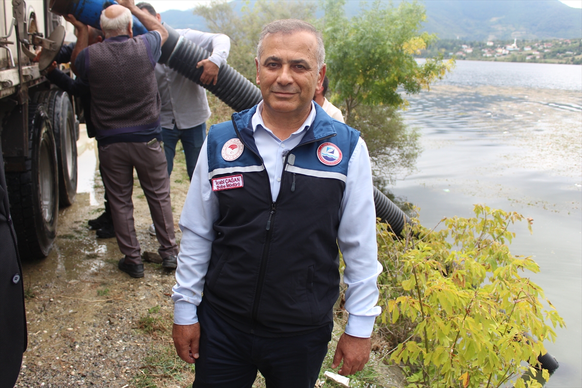 Samsun'da iç sulara 2.4 milyon sazan yavrusu salımı hedefleniyor