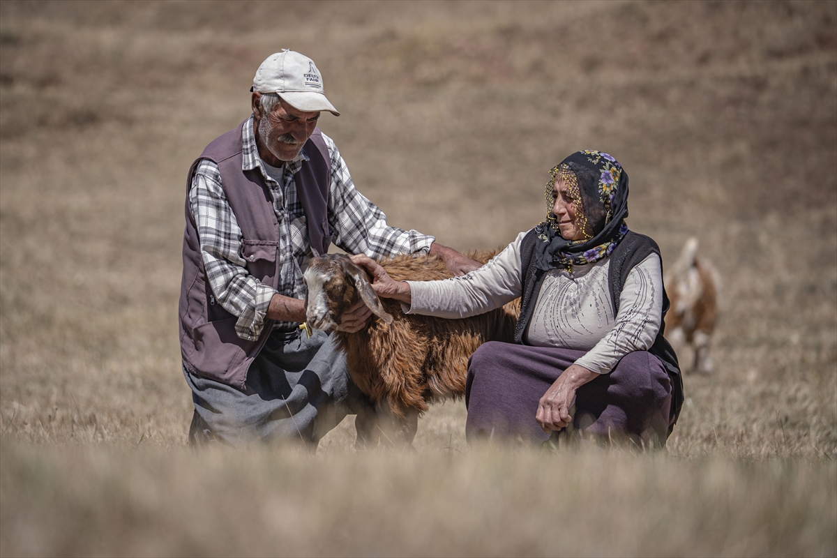 Değdaş çifti: Erzurum'da 50 yıldır hayatı ve emeği paylaşıyor
