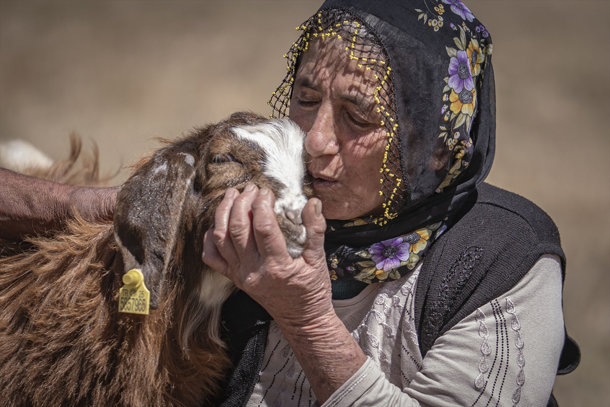 Değdaş çifti: Erzurum'da 50 yıldır hayatı ve emeği paylaşıyor