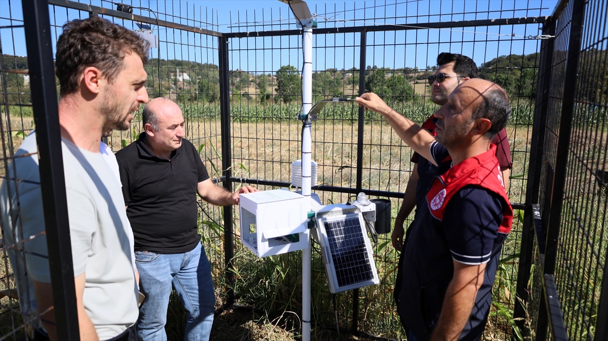Kocaeli'de yapay zeka ve dron ile tarım: Verim artacak