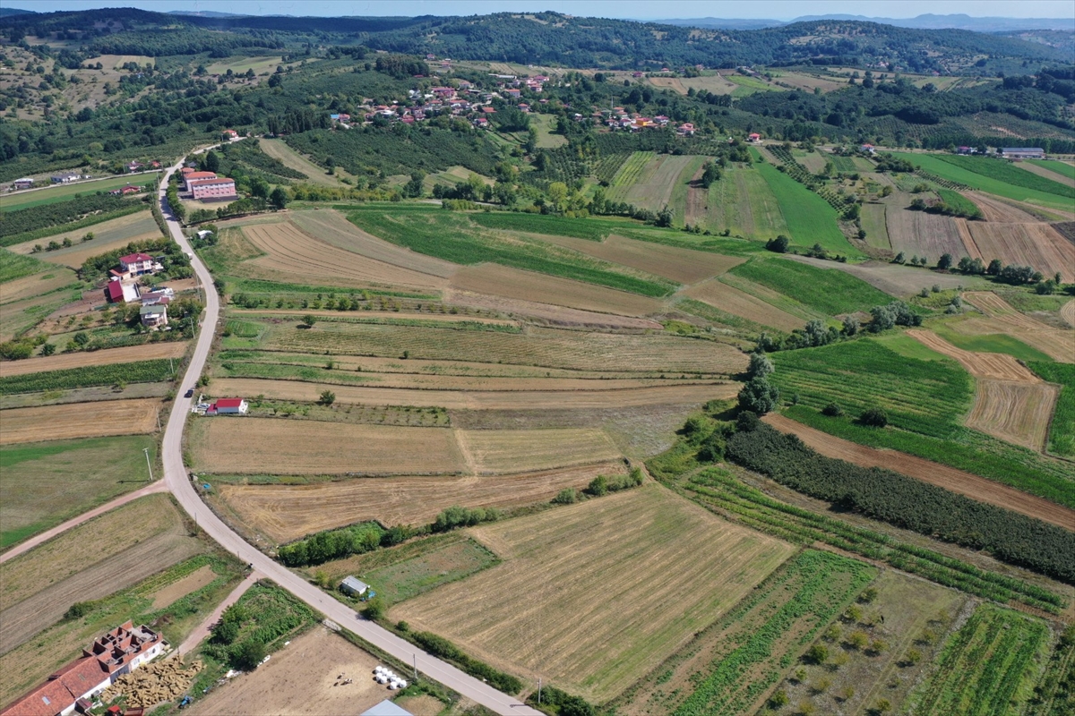 Kocaeli'de yapay zeka ve dron ile tarım: Verim artacak