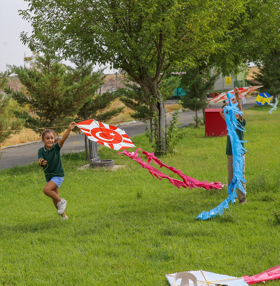 Diyarbakır'da uçurtma ve balonlar Gazzeli çocuklar için gökyüzüne bırakıldı
