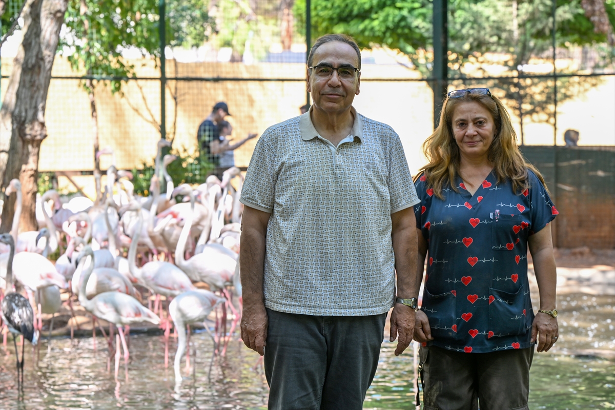 Gaziantep Doğal Yaşam Parkı'nda flamingo sayısı 52'ye ulaştı