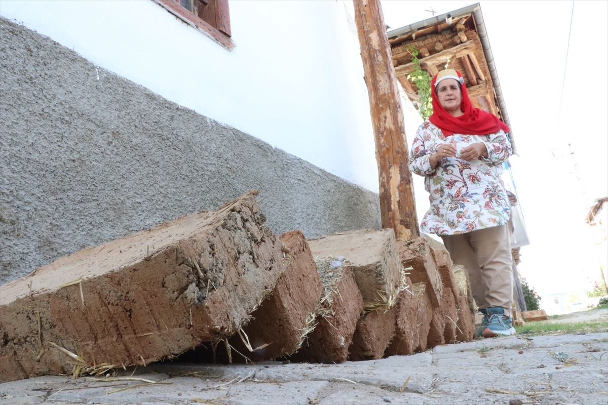 Gurbetçi arkeolog, ata mirası evleri aslına uygun kerpiç tuğlalarla restore ettiriyor