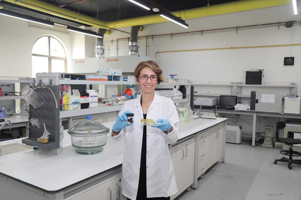 BTÜ'den gıda atıklarını dönüştürecek çevre dostu proje