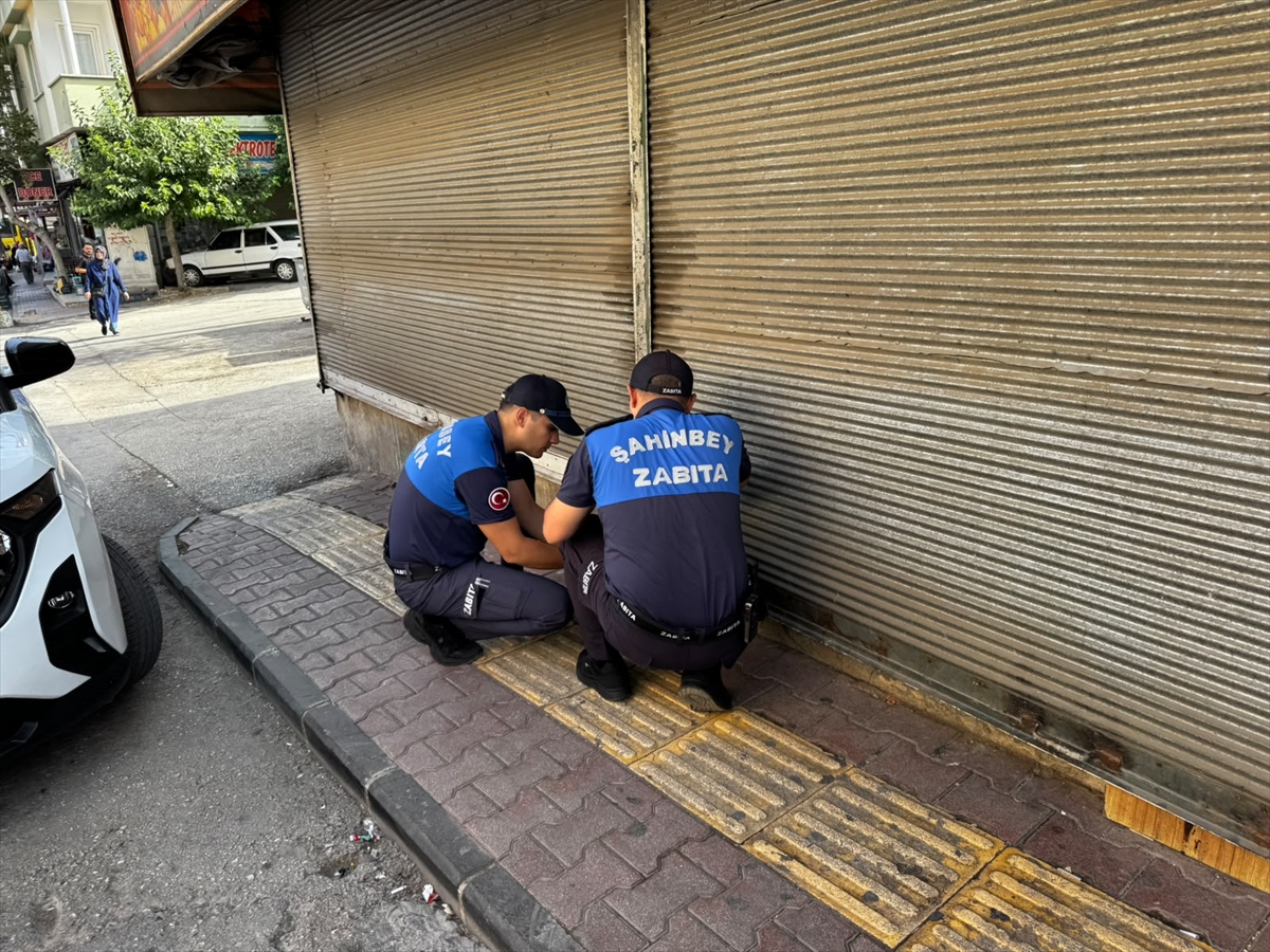 Şahinbey'de 3 markete kapatma cezası: Denetimler sürecek