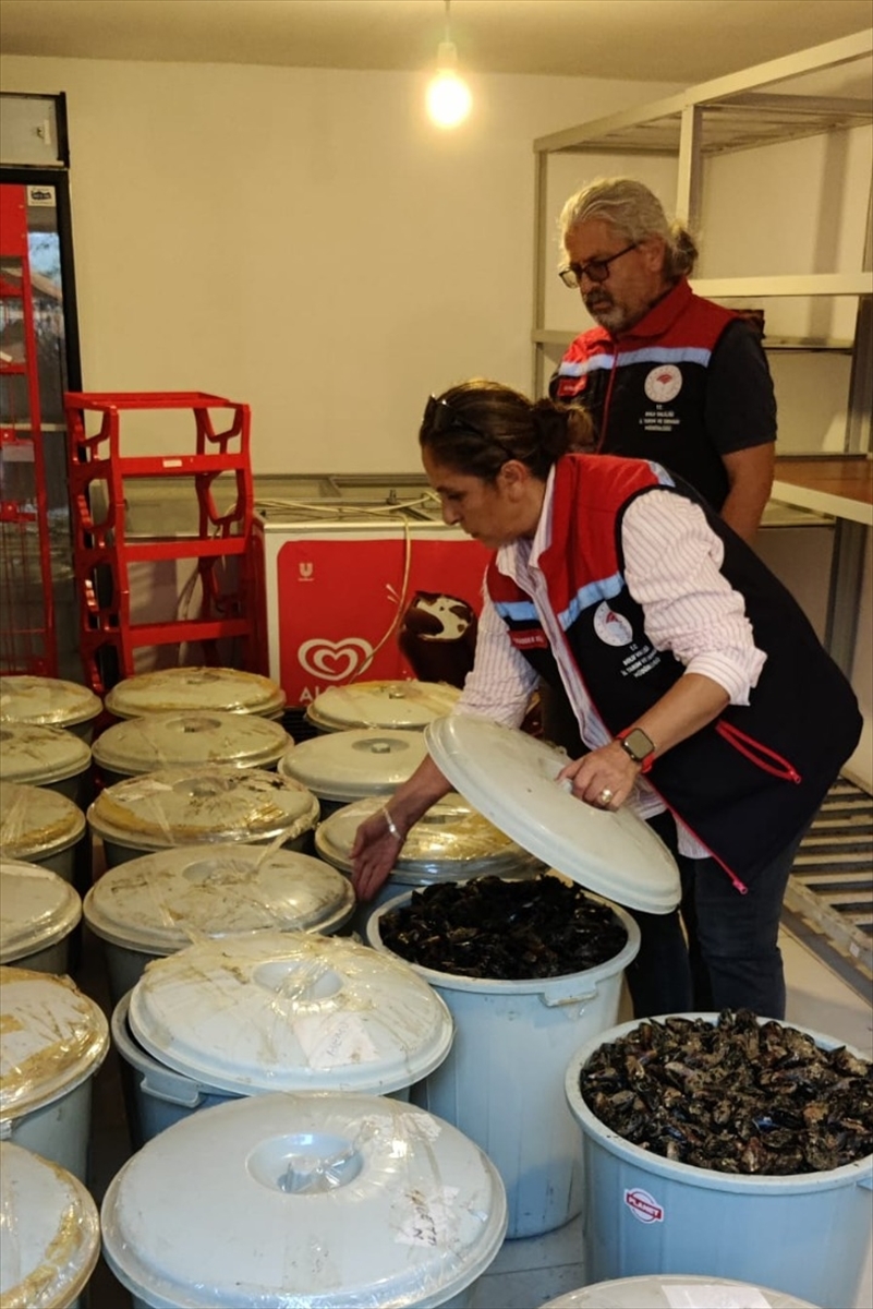 Bolu'da ele geçirilen 650 kilogram bozuk midye imha edildi