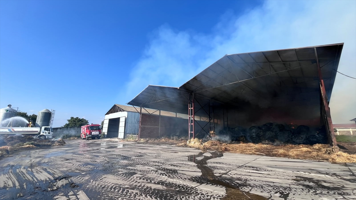 Samsun Bafra'da saman deposu yangını: Kontrol altına alındı