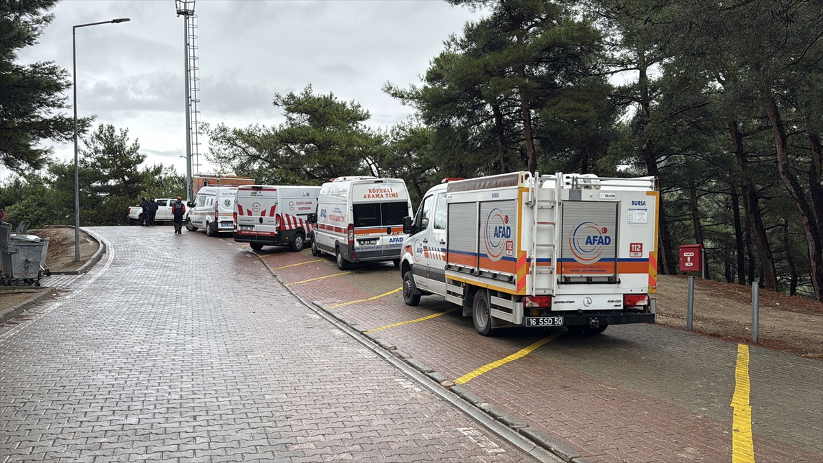 Bursa'da ormanlık alanda ceset bulundu