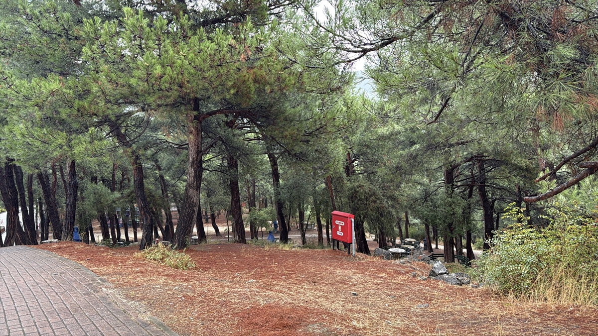 Bursa'da ormanlık alanda ceset bulundu