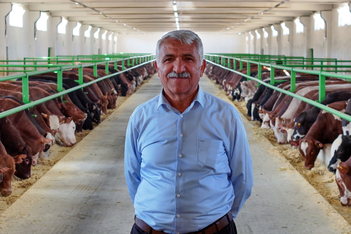 Devlet desteğiyle 30 yıllık geleneksel besiciliğini 350 baş kapasiteli modern tesise taşıdı