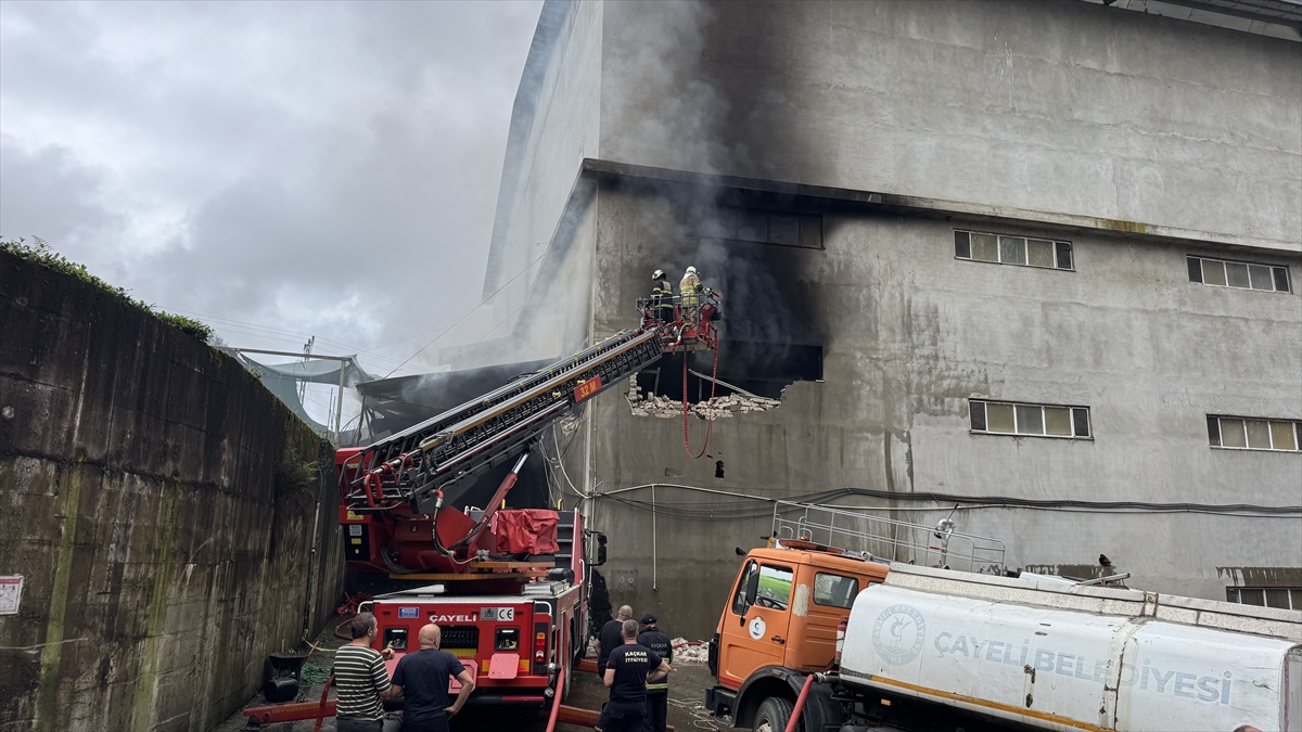 Rize'de çay fabrikası deposunda çıkan yangın söndürüldü