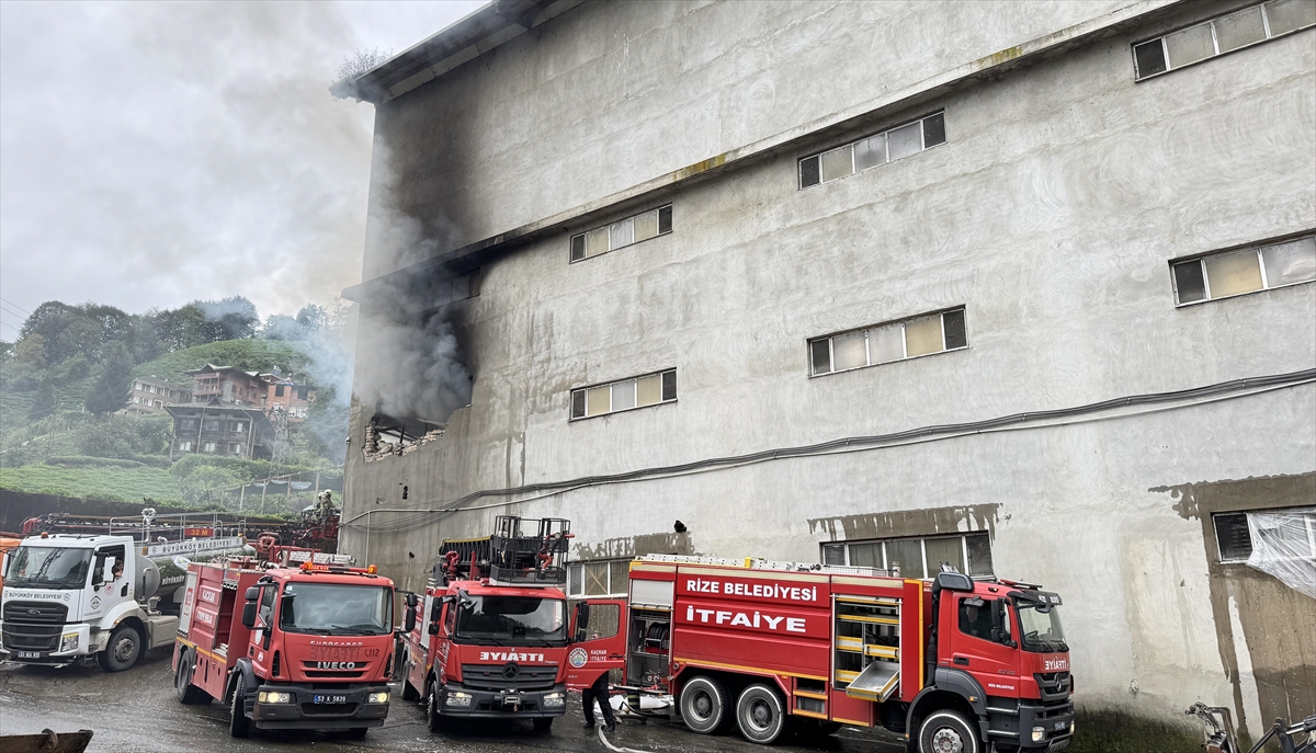 Rize'de çay fabrikası deposunda çıkan yangın söndürüldü