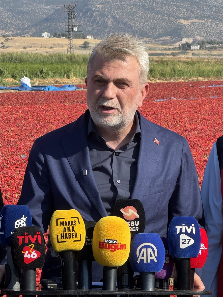 Kahramanmaraş'ta Maraş biberi hasadı başladı: 22 bin ton bekleniyor
