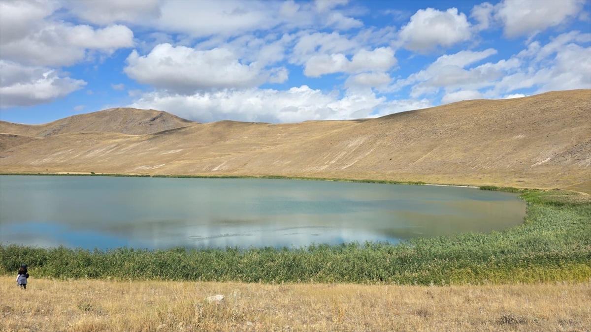Kars: Doğaseverler Deniz Gölü'nde çevre temizliği yaptı