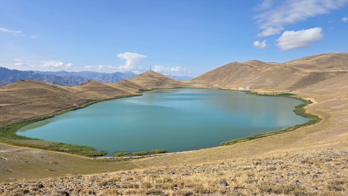 Kars: Doğaseverler Deniz Gölü'nde çevre temizliği yaptı
