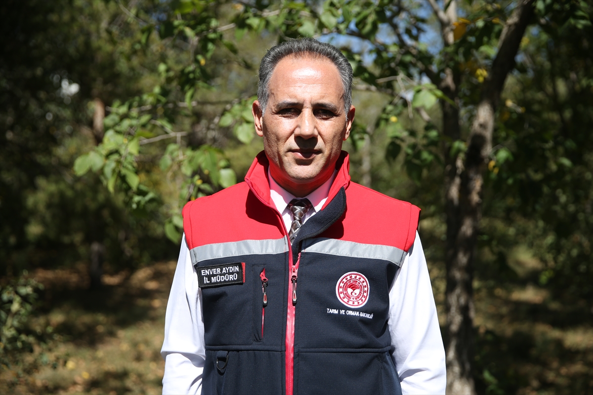 Kars'ta şap hastalığına karşı yoğun aşılama seferberliği