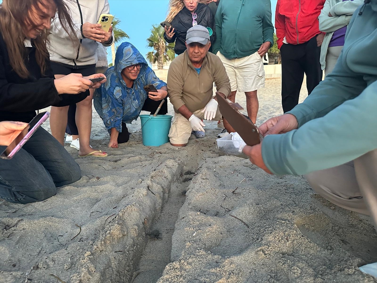 Kuşadası'nda selden kurtarılan 22 caretta caretta denize ulaştı