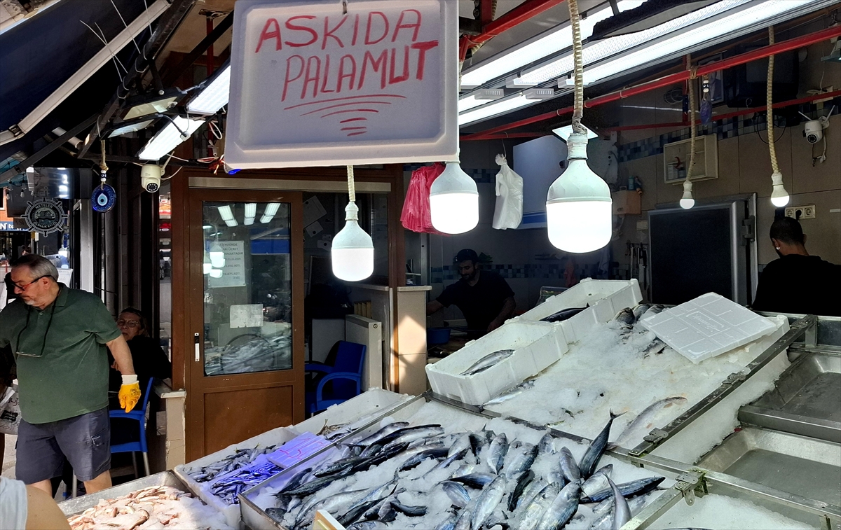 Sinop'ta 'Askıda Palamut' Kampanyası Başladı: İhtiyaç Sahiplerine Destek