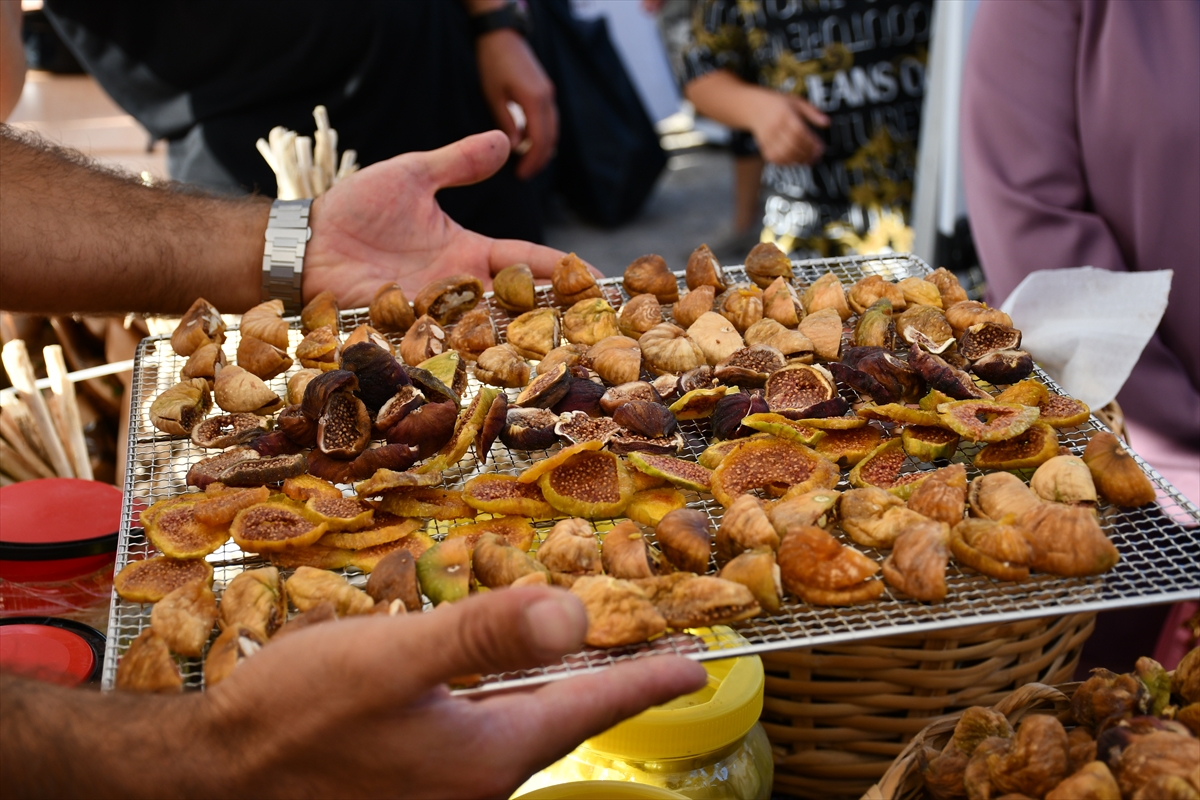 Vali Ekrem Canalp: Hasankeyf Festivali'ne katılım arttı