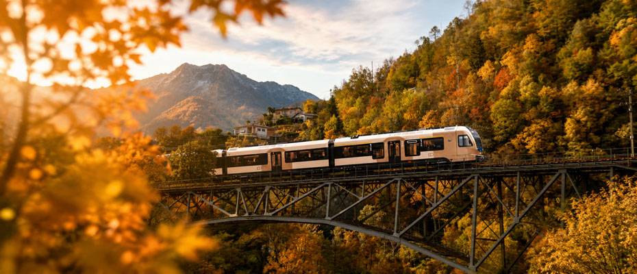 İsviçre Tessin'de Sonbahar: Altın Ormanlar, Merlot ve Gelenekler