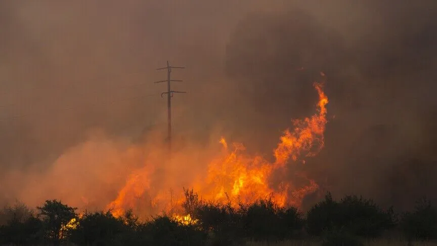 Bulgaria, Bosnia and Herzegovina Battle Forest Fires