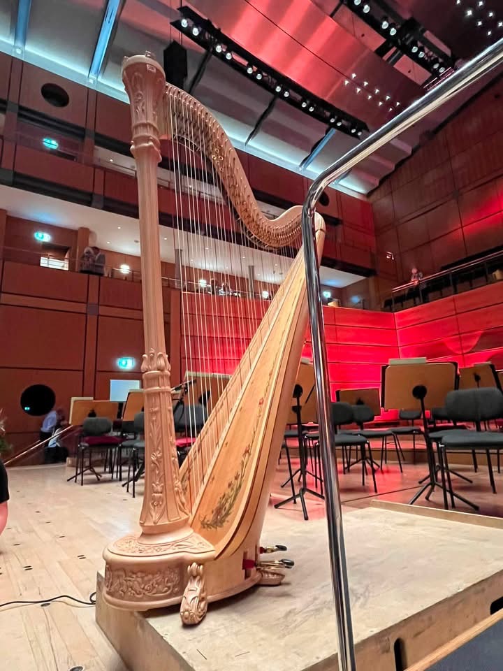 Lübeck’te Arpın Büyüsü: MuK’ta Stockholm Esintili Unutulmaz Festival Gecesi