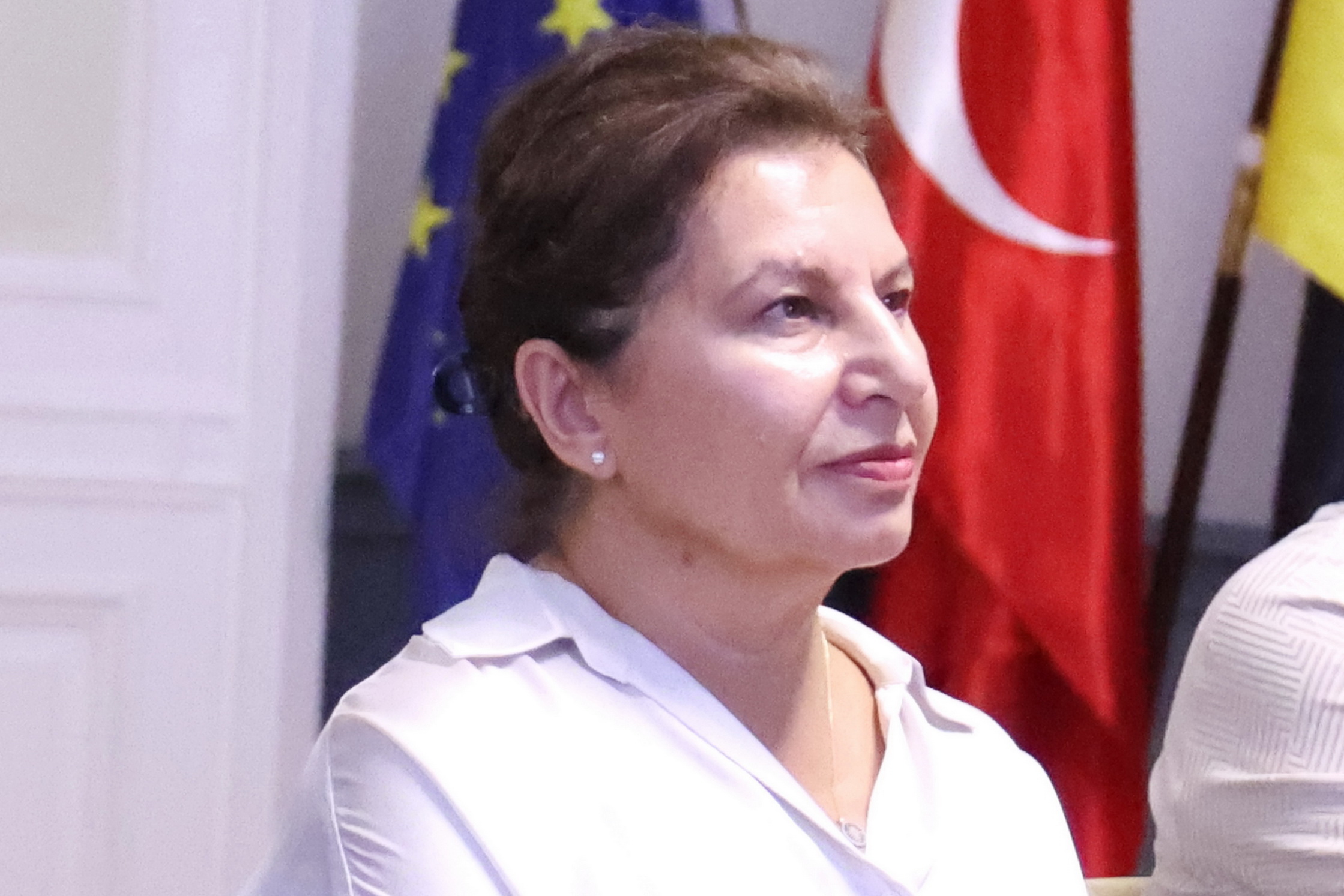 Berlin Eyalet Seçimleri Öncesi TDU’da Seçmen Bilgilendirme Toplantısı