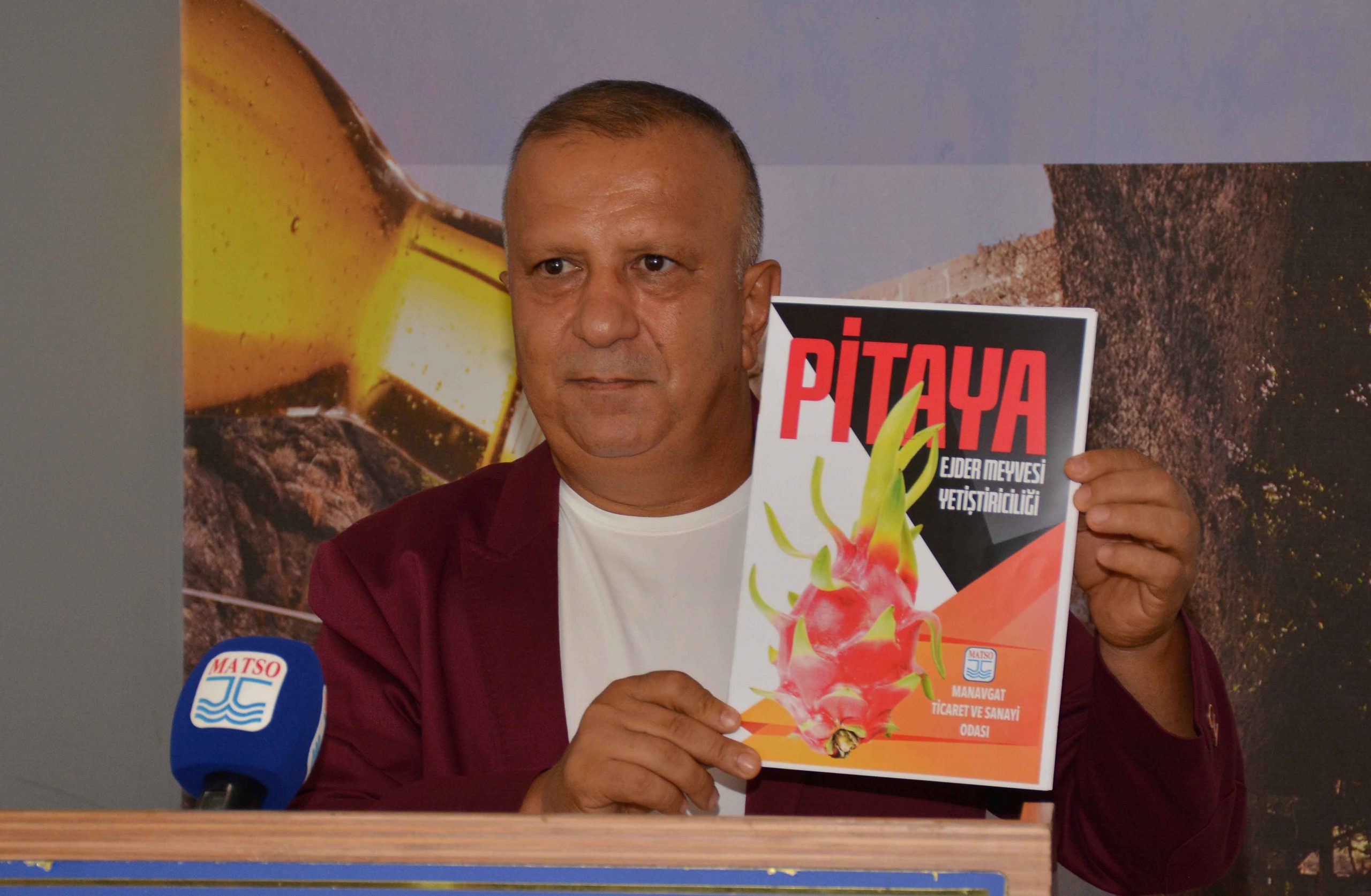 Ejder meyvesi Pitaya ihracında hedef Avrupa ve Rusya