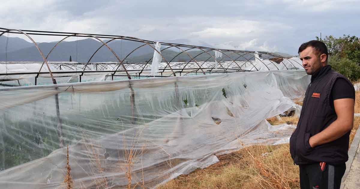 Doğal afetler Antalya çiftçisini perişan etti