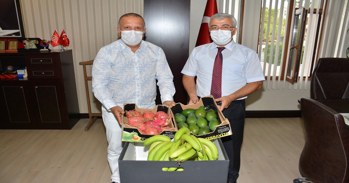 Cumhurbaşkanına Antalya Ejder meyvesi