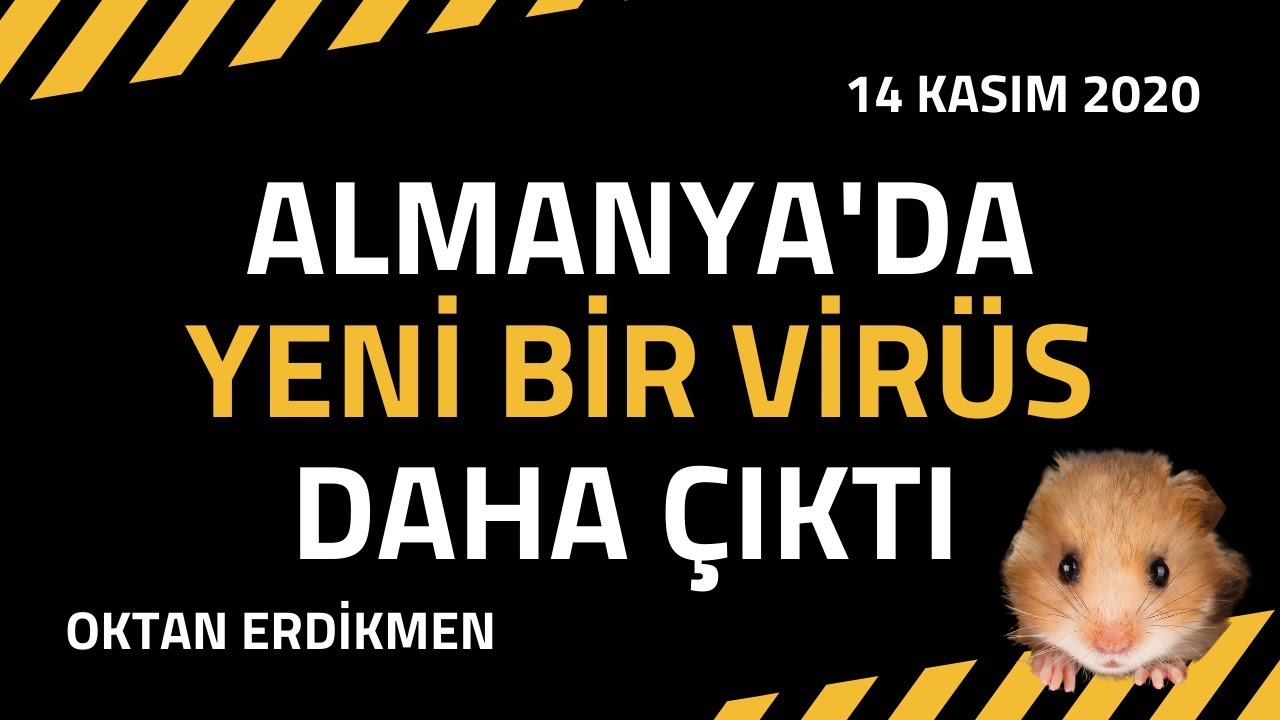 Almanya'da ilk kez Seul virüsü görüldü