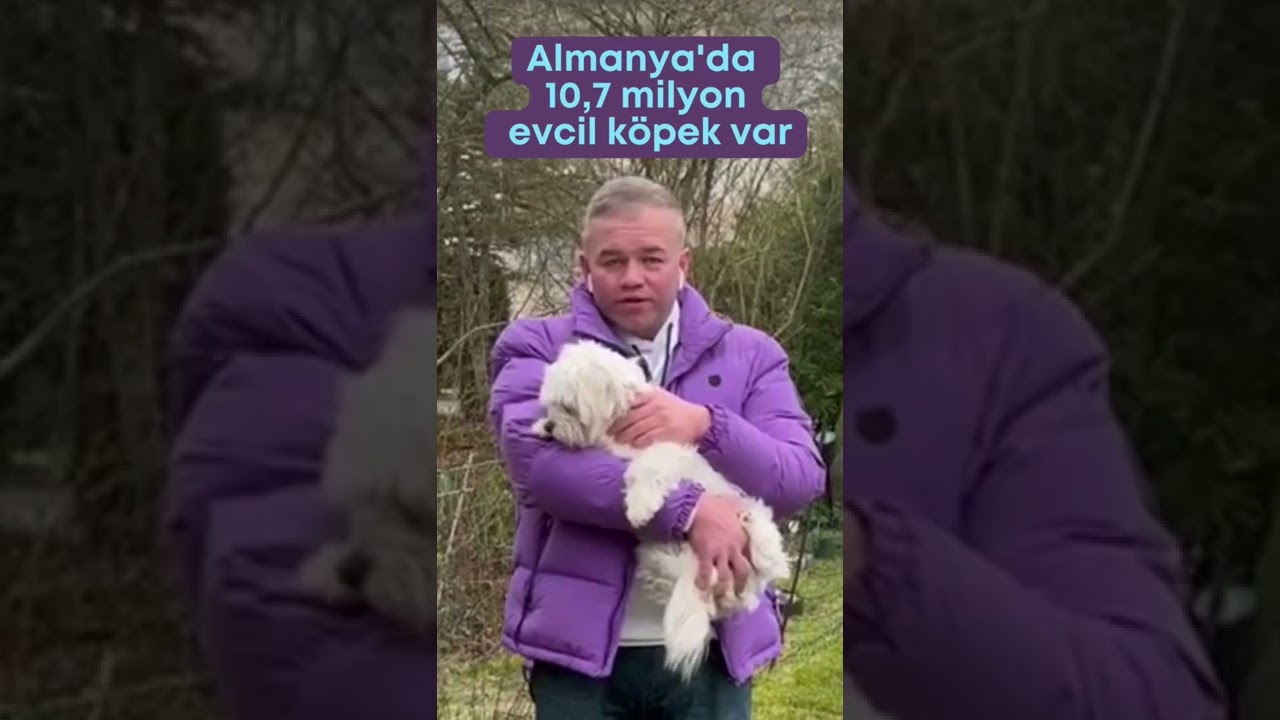 Almanya’da 10,7 milyon evcil köpek var
