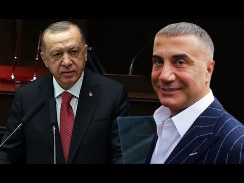 Sedat Peker "Erdoğan ile helalleşme videosu" dediği anda susturulma hamlesi geldi