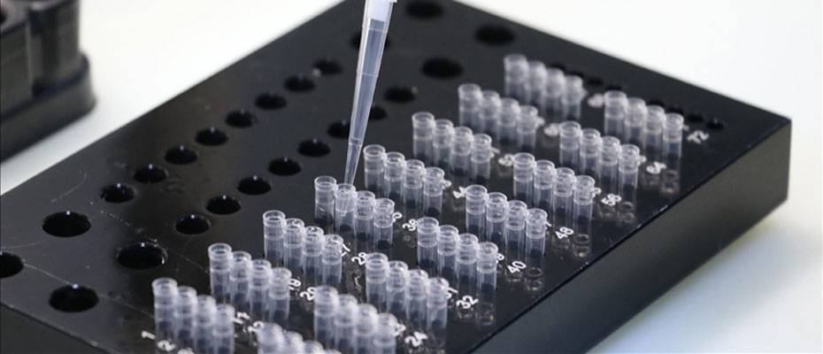 THY'den 'PCR test raporu' açıklaması