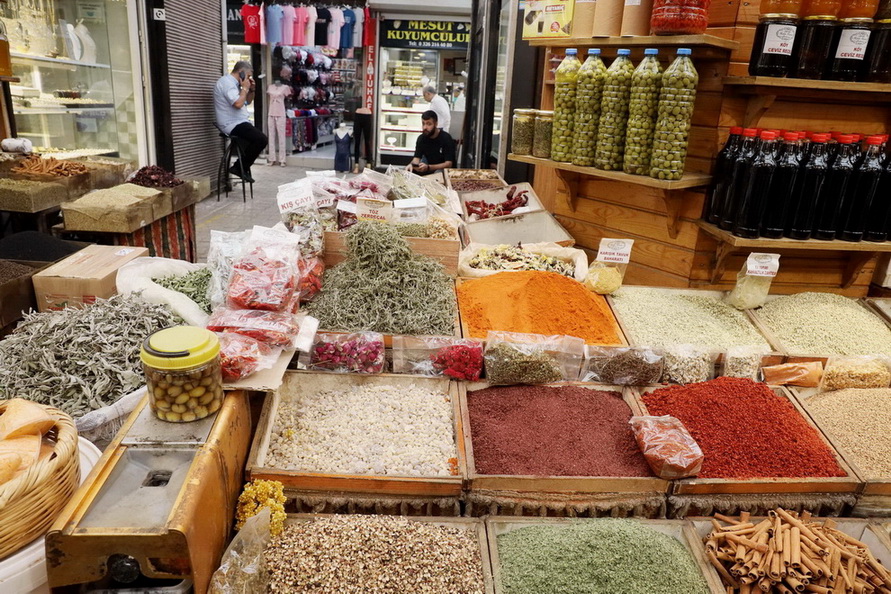 Berlin Antik Antakya Derneği’nden, ‘Antakya Tanıtım ve Kültür Gezisi’