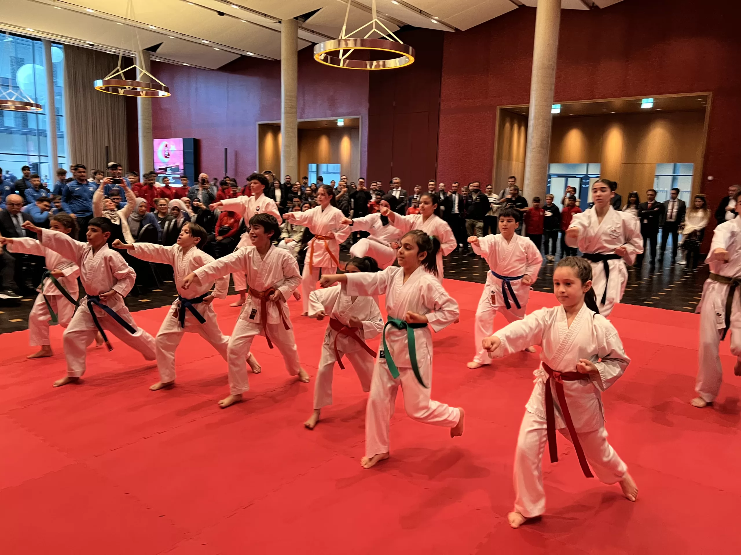 Berlin'de 19 Mayıs Atatürk'ü Anma, Gençlik ve Spor Bayramı coşkuyla kutlandı