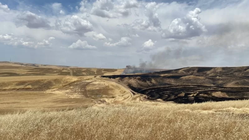 Diyarbakır’daki arazi kavgası olayında 5 kişi yakalandı