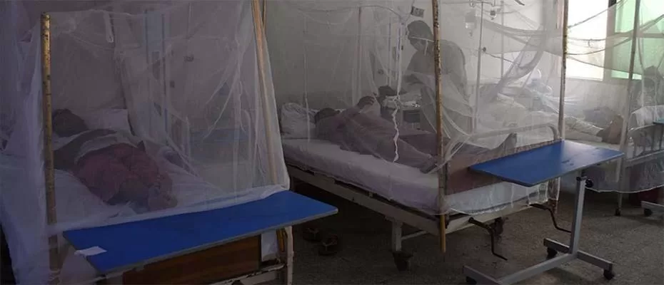 Tayland'da dang humması vakaları son 3 yılın en yüksek seviyesine çıktı