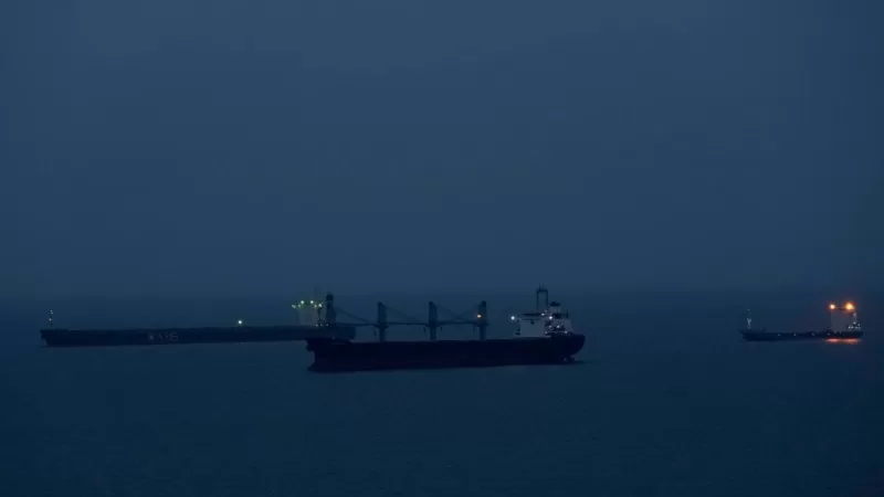 AB, BM ve Türkiye'ye Karadeniz Tahıl Anlaşması konusunda yardım ediyor