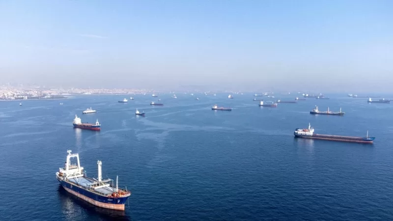 Rusya Karadeniz Tahıl Anlaşması'na katılımını durdurdu