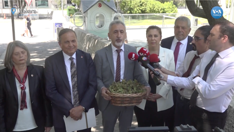 CHP: “Fındıkta 85 lira maliyet fiyatıdır”