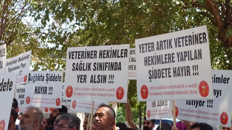 Veteriner hekimler sağlıkta şiddet yasası kapsamına alınmak istiyor