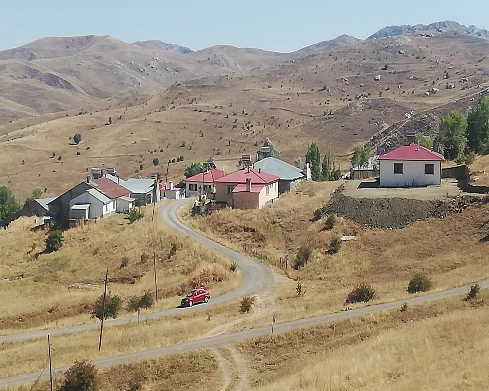 Sivas'ta ayılar köyü bastı ondört tavuk telef oldu