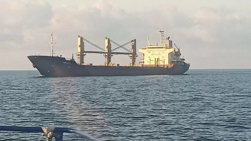 Ukrayna'dan tahıl taşıyan ilk büyük yük gemisi Karadeniz limanından yola çıktı