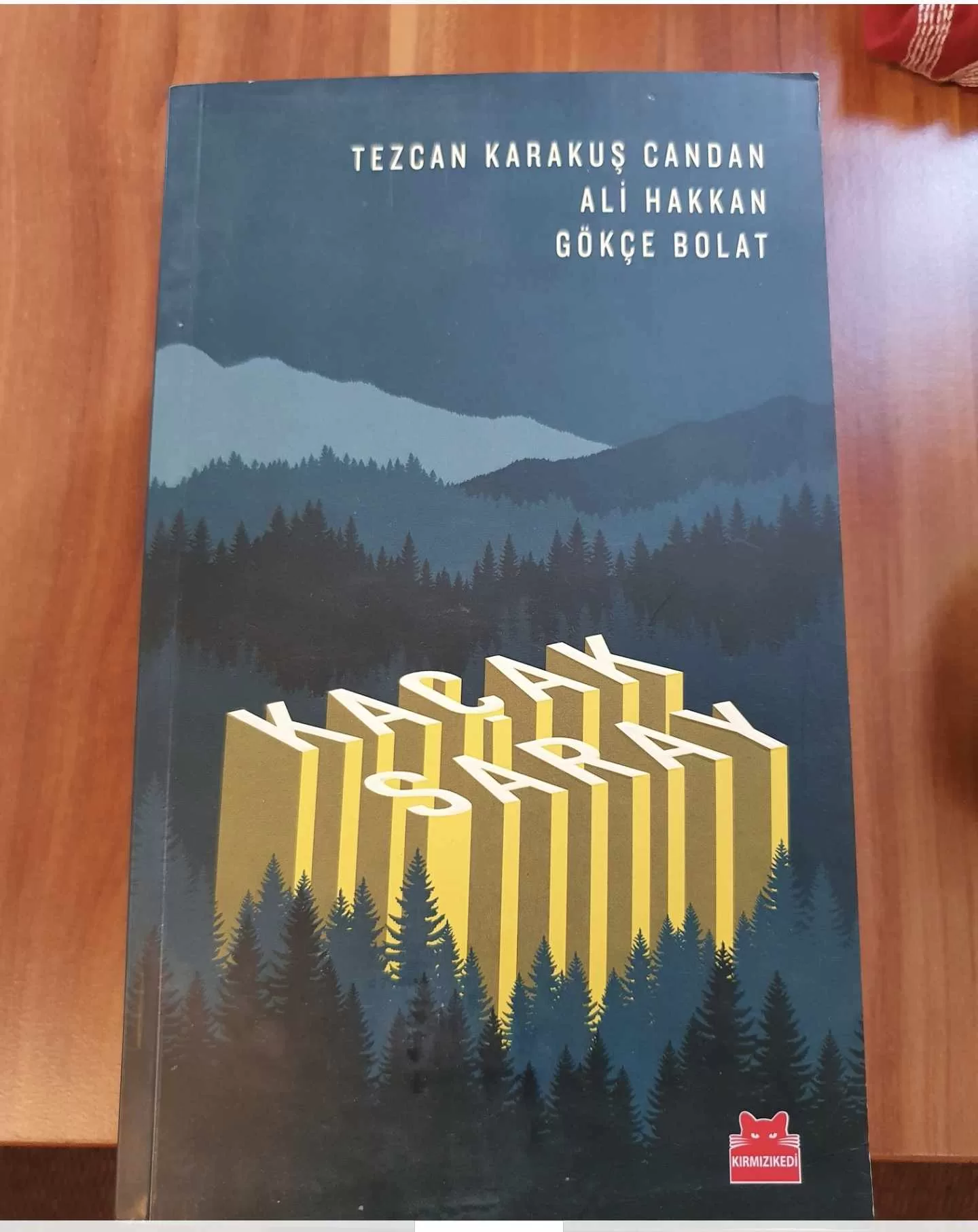 Cumhuriyeti sonsuza dek yaşatacağız