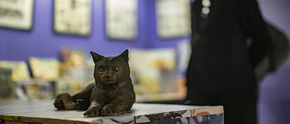 Kedi Müzesi, Beşiktaş'ta açıldı