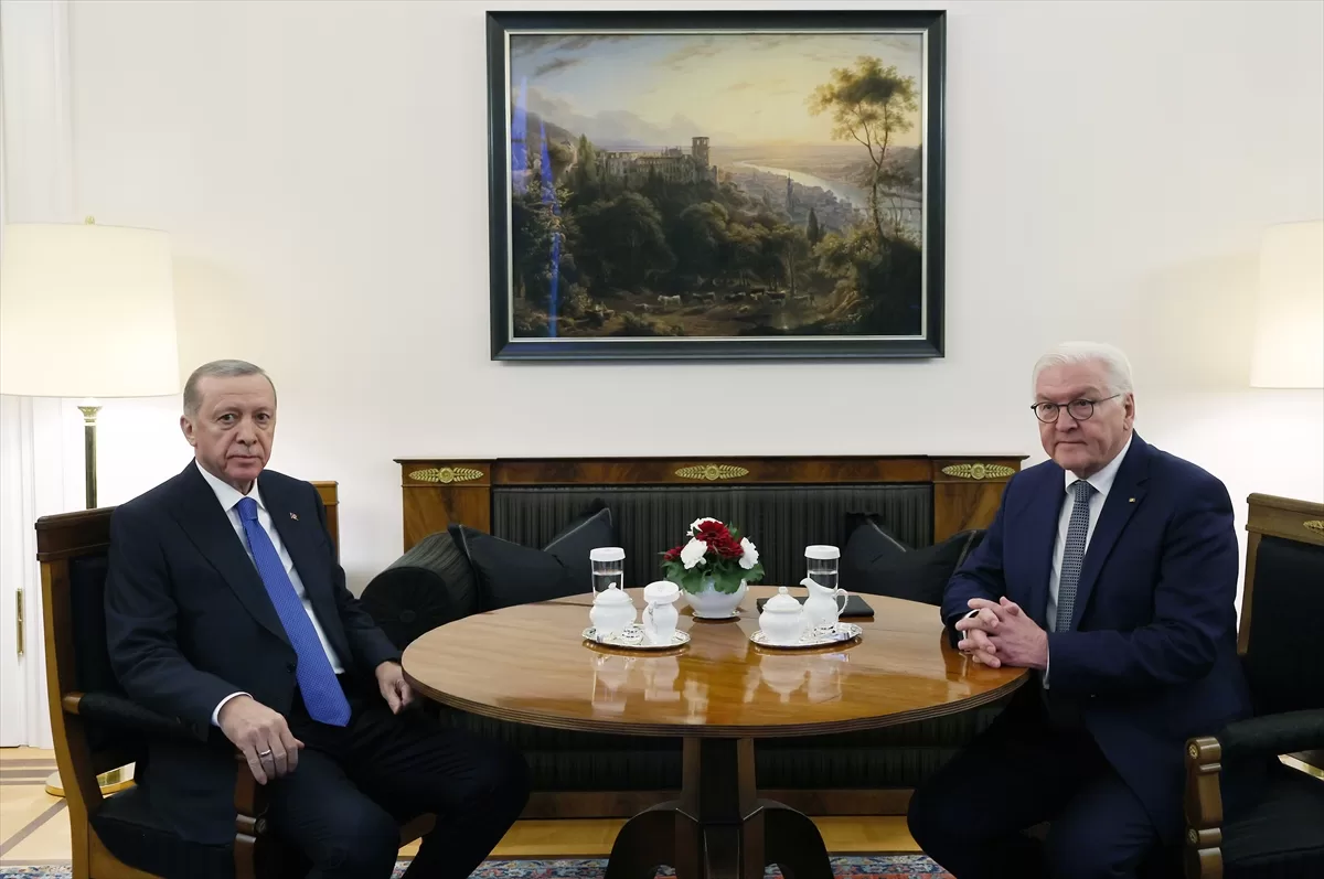 Cumhurbaşkanı Erdoğan, Almanya Cumhurbaşkanı Steinmeier ile görüştü