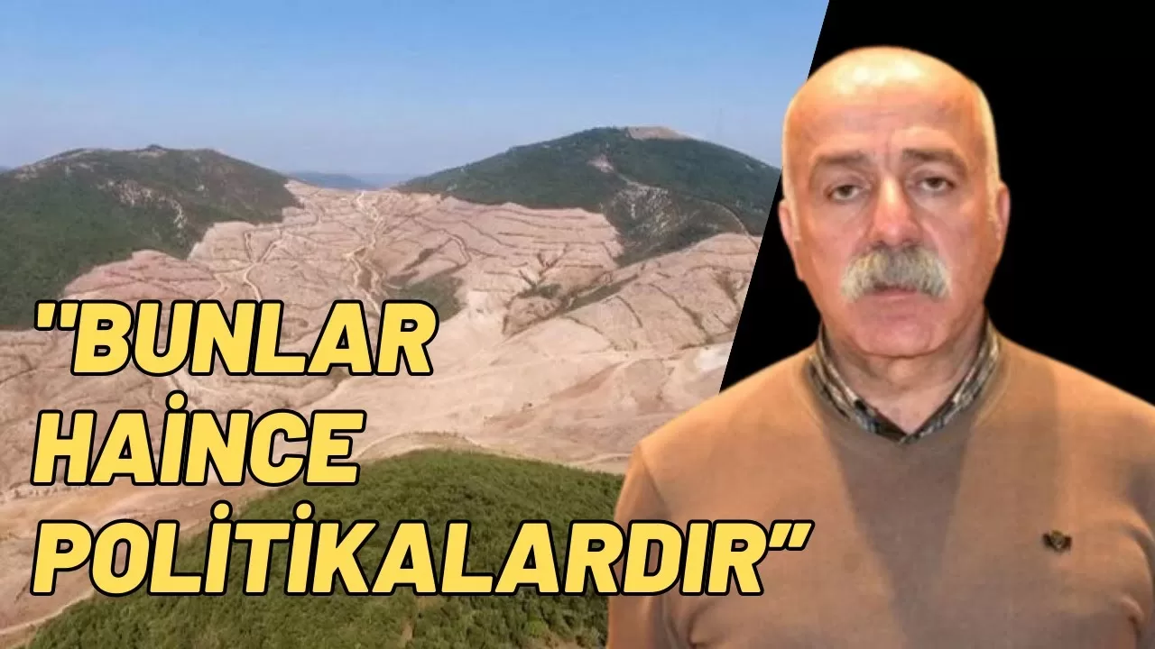 Çokuluslu şirketler kazansın diye Türkiye ormansızlaştırılıyor
